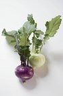 Green and purple kohlrabi with leaves — Stock Photo