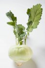 Cavolo rapa verde fresco con foglie — Foto stock