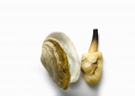 Closeup top view of clam beside shell on white surface — Stock Photo