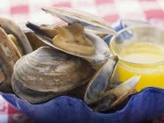 Вид крупным планом на тушеных моллюсков с соусом масла — стоковое фото