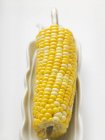 Кукурудза на коб у білій тарілці — стокове фото