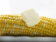Corn cob with knob of butter — Stock Photo