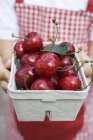 Cardboard punnet of fresh red cherries — Stock Photo