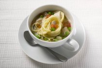 Zuppa di tagliatelle con pollo e verdure — Foto stock