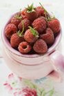 Fresh picked raspberries — Stock Photo
