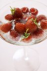 Raspberries in cocktail glass — Stock Photo