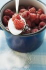 Fresh ripe raspberries with sugar — Stock Photo