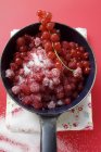 Ribes rosso greggio zuccherato — Foto stock