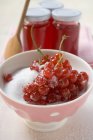 Grosellas rojas maduras en azúcar - foto de stock