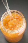 Jar of apricot jam — Stock Photo