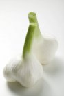 Bulbi di aglio freschi — Foto stock
