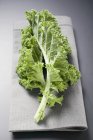 Kale leaves on fabric napkin — Stock Photo