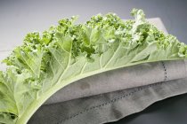 Kale leaf on fabric napkin — Stock Photo