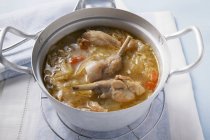 Rabbit and cabbage stew — Stock Photo