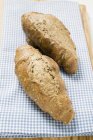 Freshly baked grain baguettes — Stock Photo