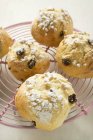 Several raisin scones with sugar — Stock Photo