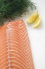 Fresh Salmon fillet — Stock Photo