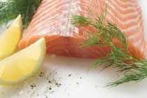 Fresh Salmon fillet — Stock Photo