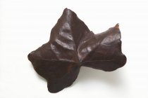 Primo piano di foglia di cioccolato — Foto stock