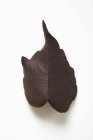 Крупним планом шоколадний лист — стокове фото