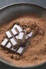Poudre de cacao et morceaux de chocolat — Photo de stock