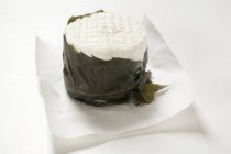 Goat's cheese in chestnut leaf — Stock Photo