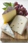 Käse mit roten Trauben — Stockfoto
