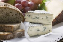 Käse mit Feigen und Trauben — Stockfoto