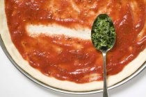 Base per pizza con salsa — Foto stock