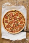 Pizza mit Oregano auf Papier — Stockfoto