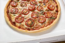 Pizza al formaggio e pomodoro — Foto stock