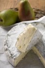 Голубой сыр и груши — стоковое фото