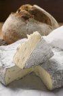 Blauschimmelkäse und Brot — Stockfoto