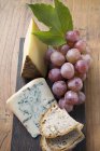 Appenzeller e queijo azul com uvas — Fotografia de Stock