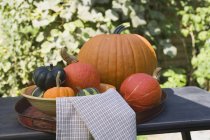 Fresh picked pumpkins and squashes — Stock Photo