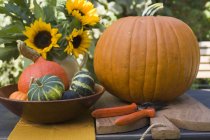Squashes and pumpkins with sunflowers — Stock Photo
