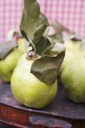 Fresh picked Quinces with leaves — Stock Photo