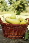 Peras frescas en la cesta - foto de stock
