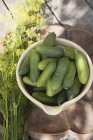 Pickling cucumbers in bowl — Stock Photo