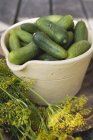 Pickling cucumbers in bowl — Stock Photo