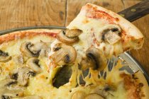 Американская грибная пицца — стоковое фото