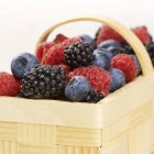 Fruits frais assortis — Photo de stock