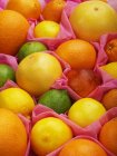 Ассортимент цитрусовых фруктов — стоковое фото