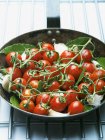 Tomates con ajo y hojas de laurel - foto de stock