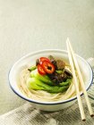Asiatico brasato manzo con tagliatelle — Foto stock