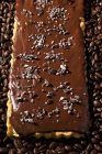 Шоколад горіх пиріг — стокове фото