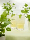 Closeup view of Bourbon with mint, syrup and soda water — Stock Photo