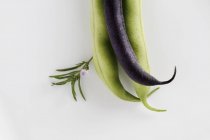 Violette und grüne Bohnen — Stockfoto