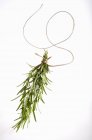 Fresh rosemary tied with rope — Stock Photo