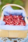 Cranberries em cesta de aparas de madeira — Fotografia de Stock